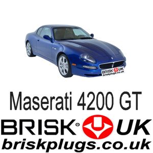 Maserati 4200 gt v8 Brisk Spark Plugs racing tuning upgrade performance cambiocorsa