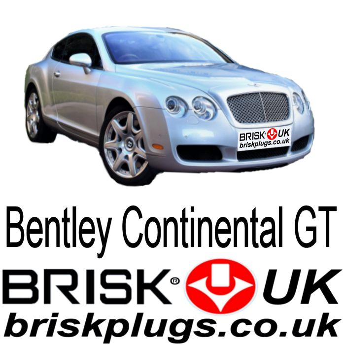 Bentley Continental GT GTC Brisk Performance Spark Plugs 6.0 03-17