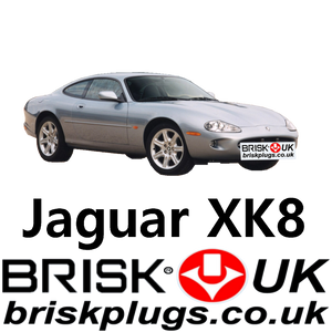 Jaguar XK 8 R Performance replacement spark plugs Brisk Racing UK