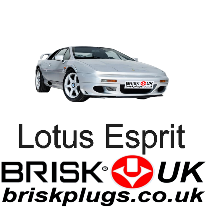 Lotus Esprit Mk2 2.0 2.2 3.5 V8 Turbo 87-04 Brisk Racing Spark Plugs