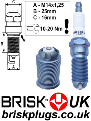 ROR15LGS Brisk Spark Plugs for Evoque Ingenium AJ200